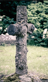 Tree-and-Sickle-Cross